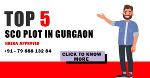 Top 5 SCO Plots in Gurgaon
